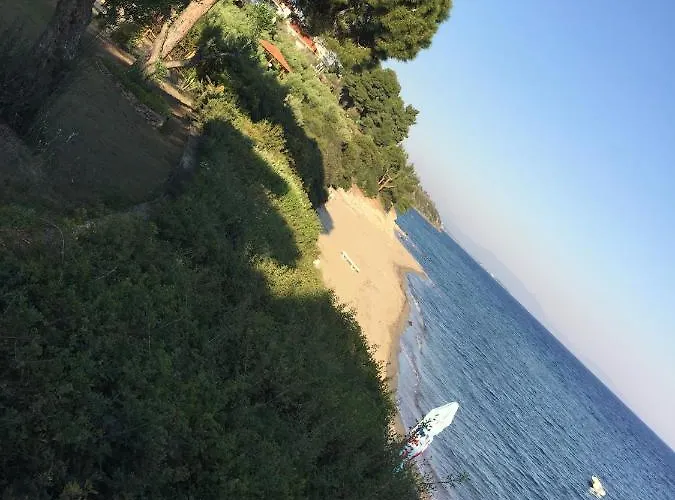 公寓 Gerakini 普萨克迪亚